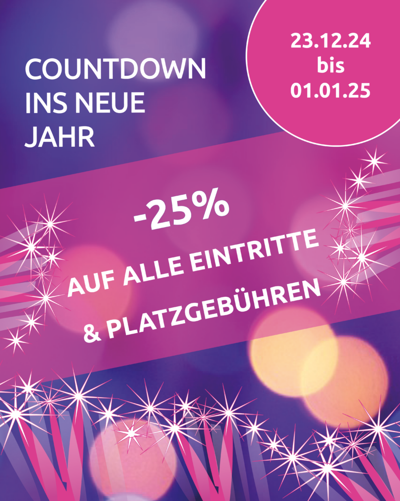 Buntes Silvester-Werbemotiv in Pink und Lila mit Feuerwerkselementen und einem Rabattangebot von 25 %, gültig vom 23.12.24 bis 01.01.25.